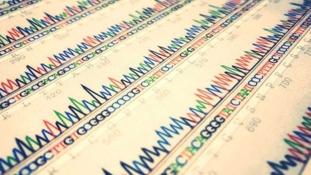 Dịch vụ NGS sequencing, Dịch vụ giải trình tự NGS